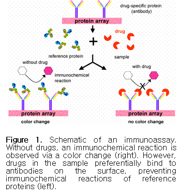 protein microarrays enzyme immunoassay